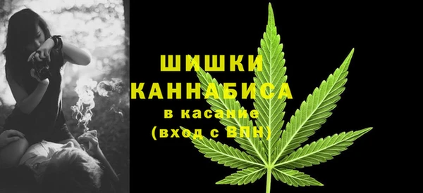 PSILOCYBIN Абаза