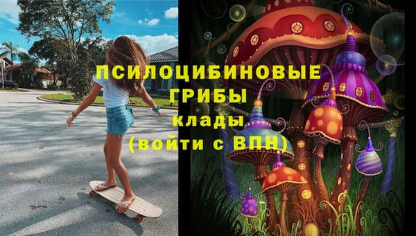 PSILOCYBIN Абаза